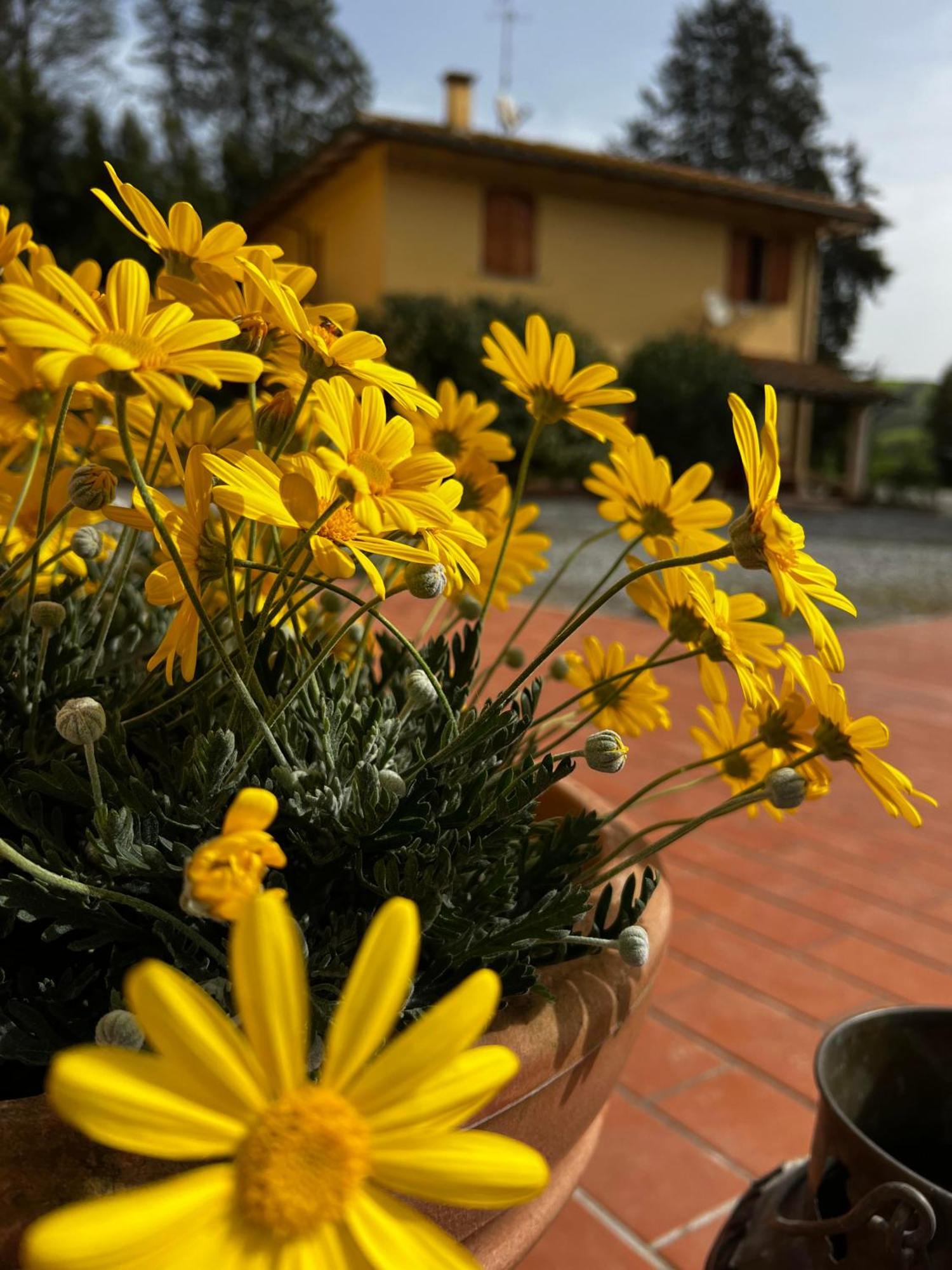 Agriturismo La Cerbana Палайя Екстер'єр фото